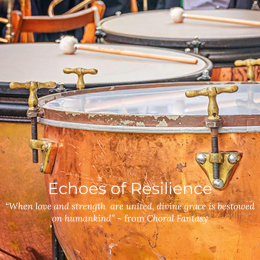 Echoes of Resilience