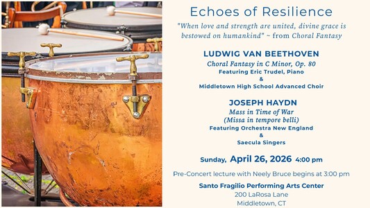 Echoes of Resilience