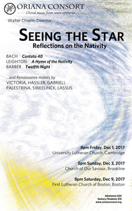 Seeing the Star: Reflections on the Nativity