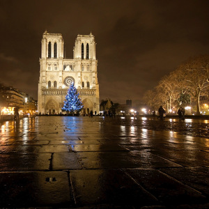 Joyeux Noël: From the Eiffel Tower to Notre Dame