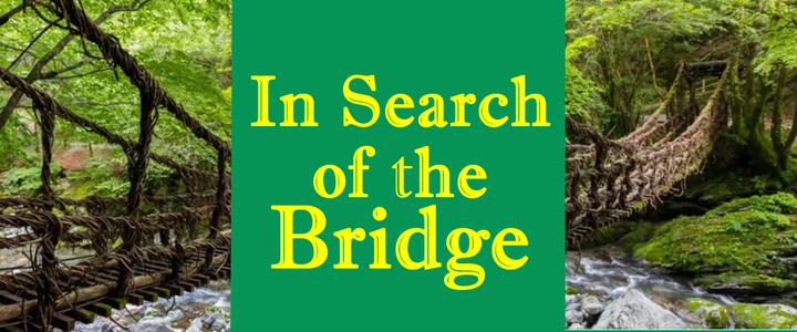 In Search of the Bridge