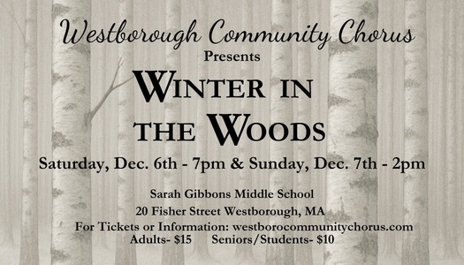 Winter in the Woods