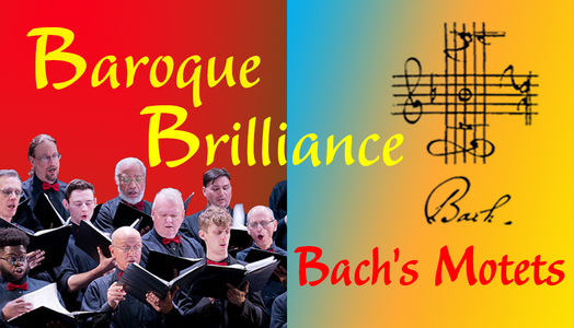 Baroque Brilliance: Bach’s Motets in Concert