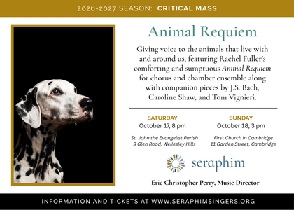 Animal Requiem