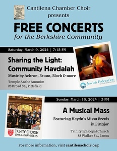 Sharing the Light: Community Havdalah