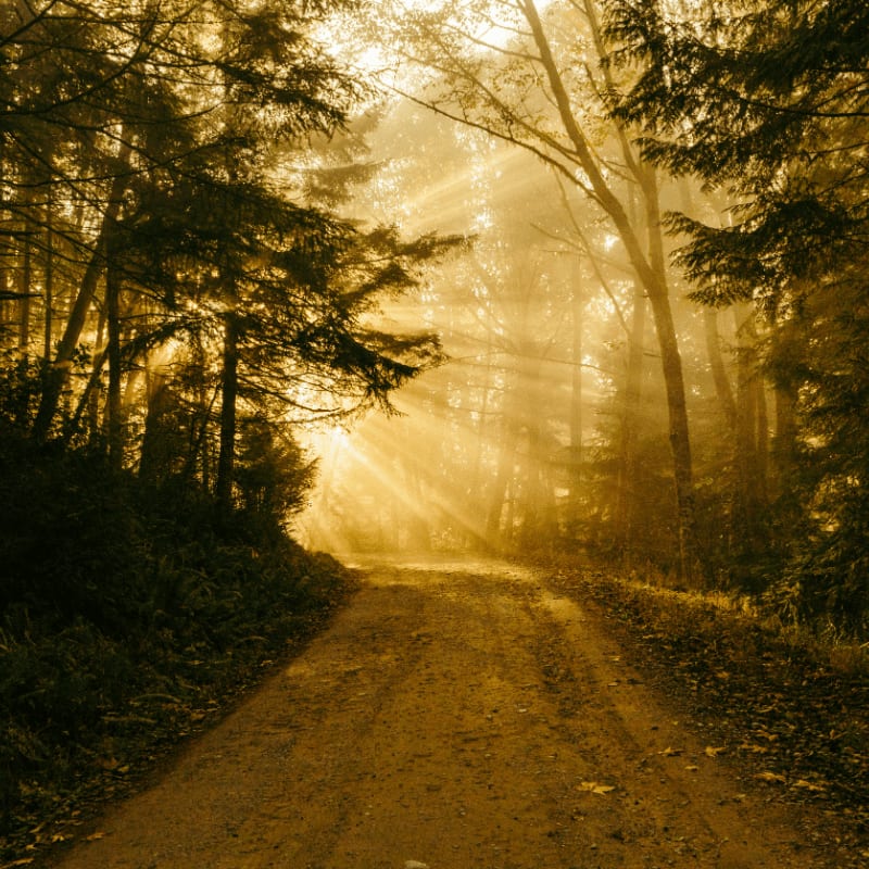 A Journey Less Traveled
